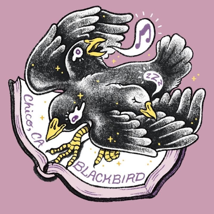 Blackbird