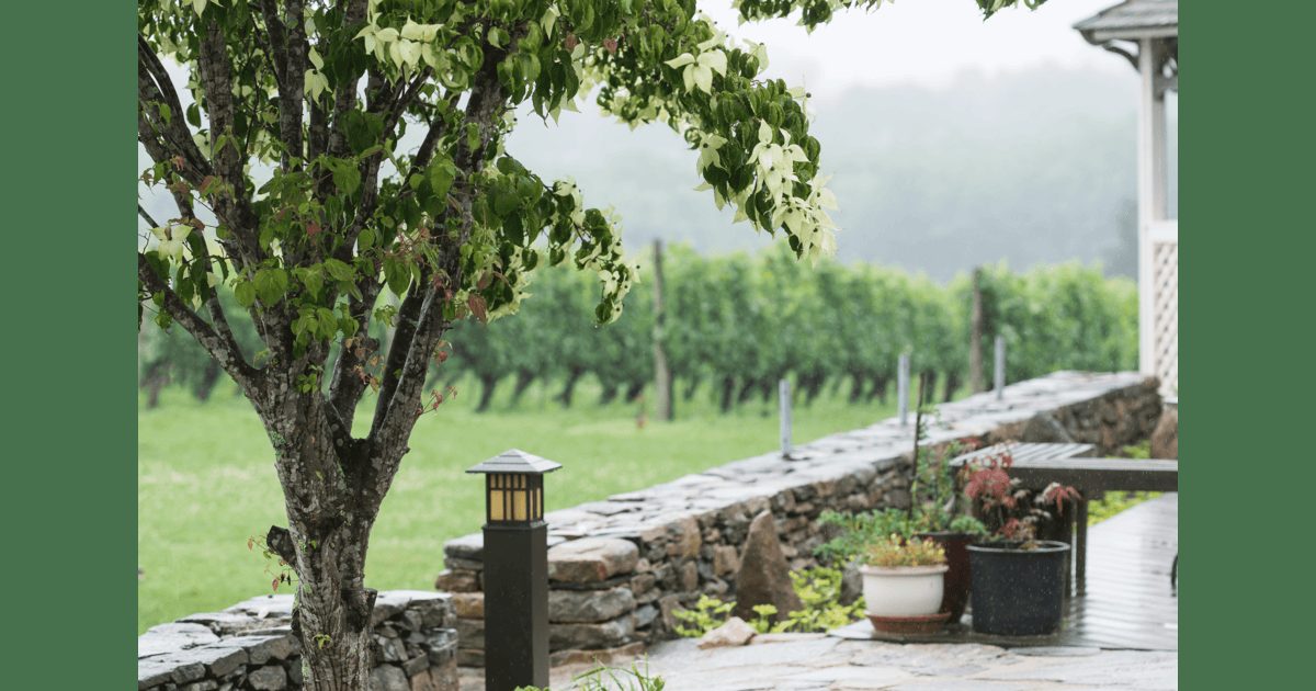 Stonington Vineyards