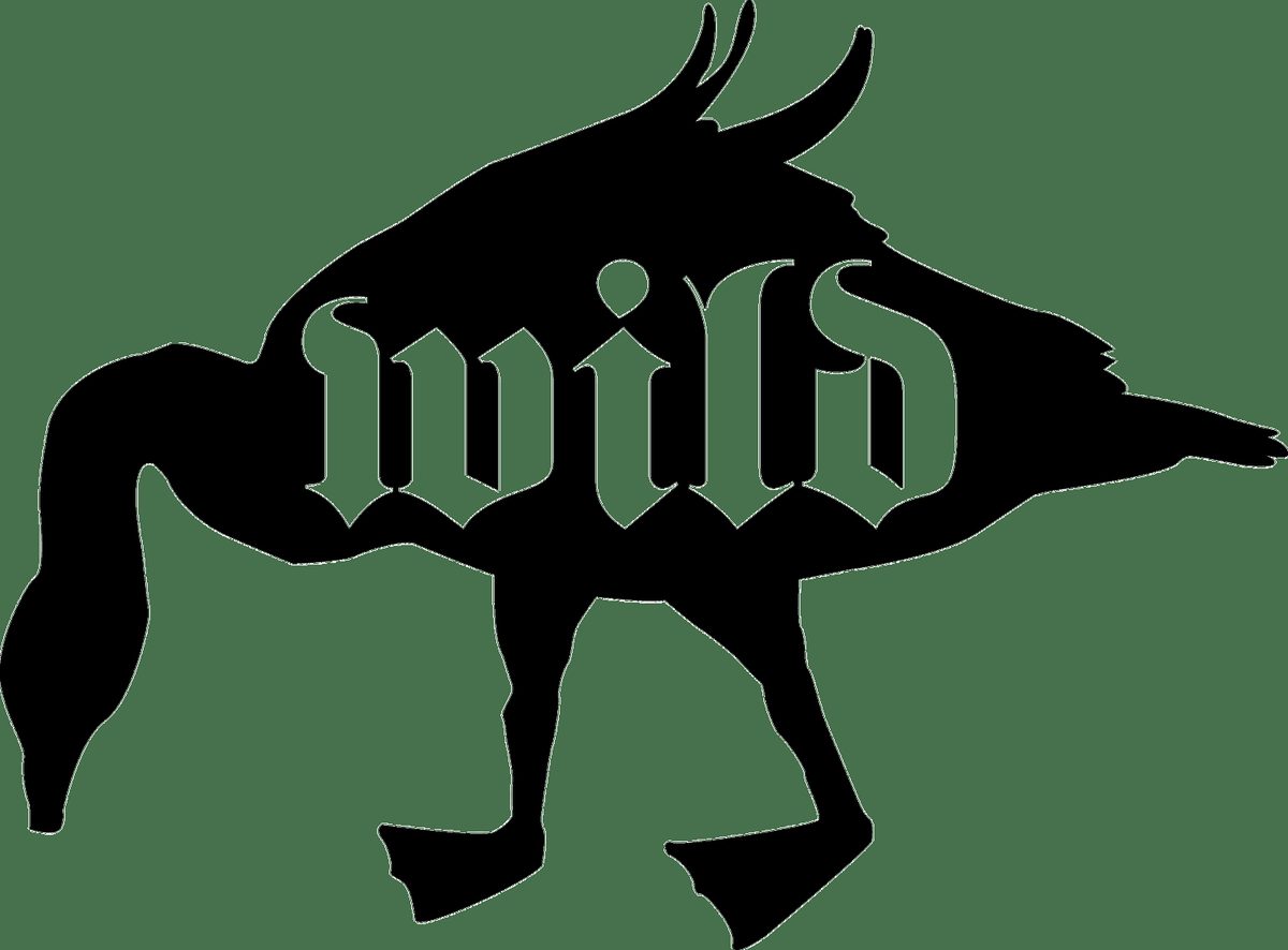 Wild Goose Creative