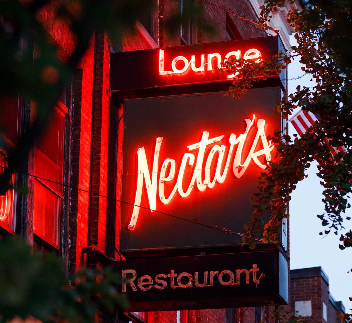 Nectar's